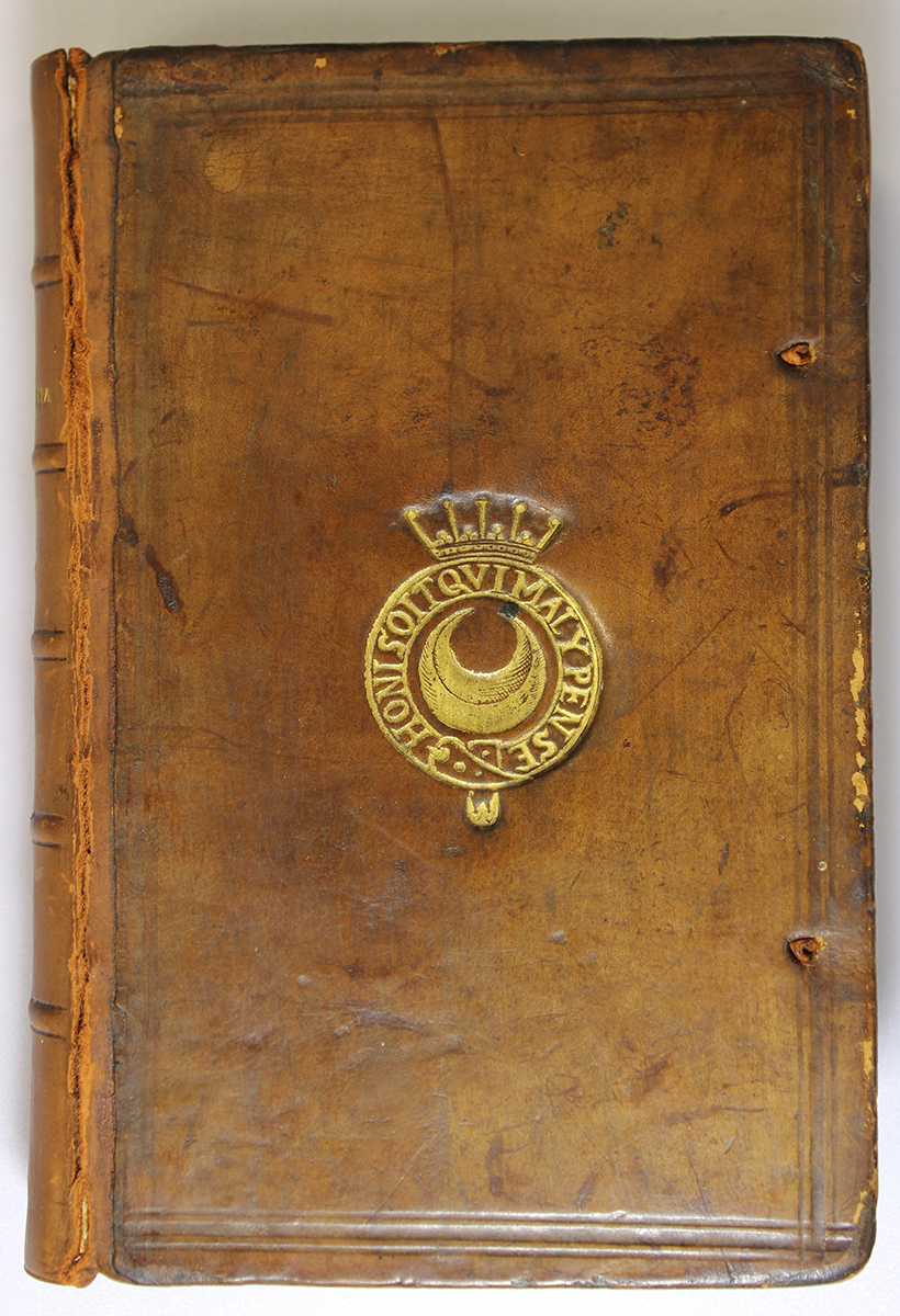 Leather binding of a book