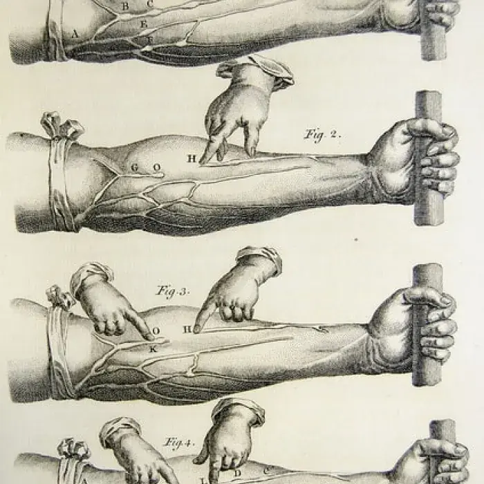 Illustrations of Harvey’s experiments from De motu cordis, 1628.