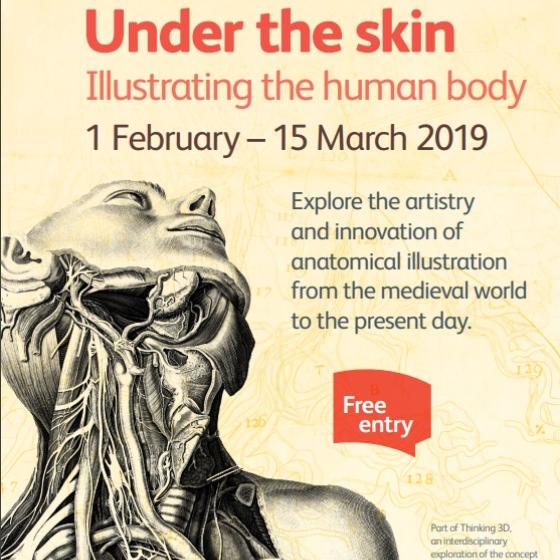 under the skin poster 