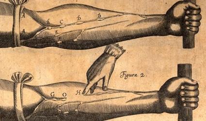 Illustration of experiments on the veins of the arm in Exercitatio anatomica de motu cordis et sanguinis in animalibus, by William Harvey, published Frankfurt, 1628